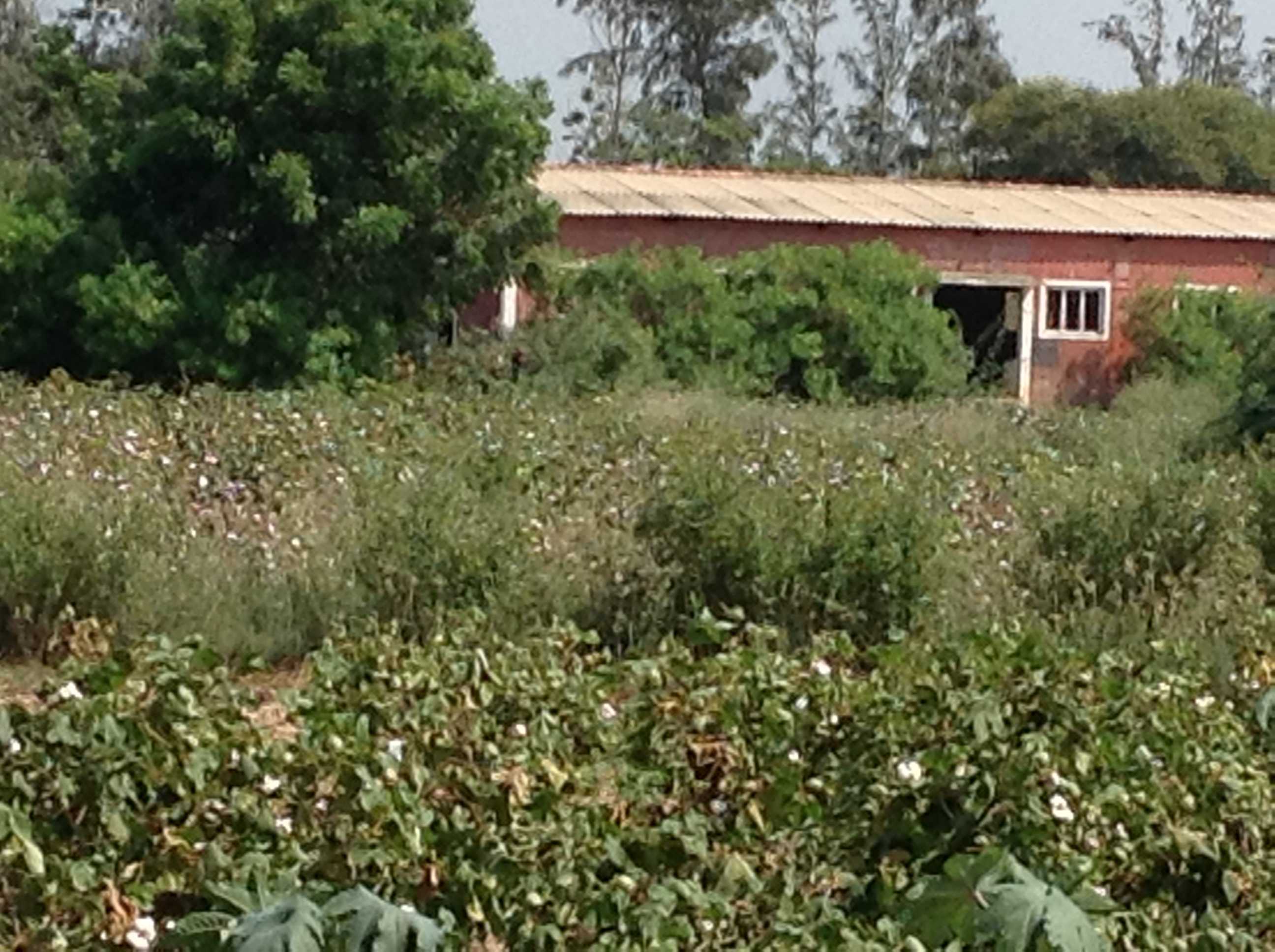 Farm