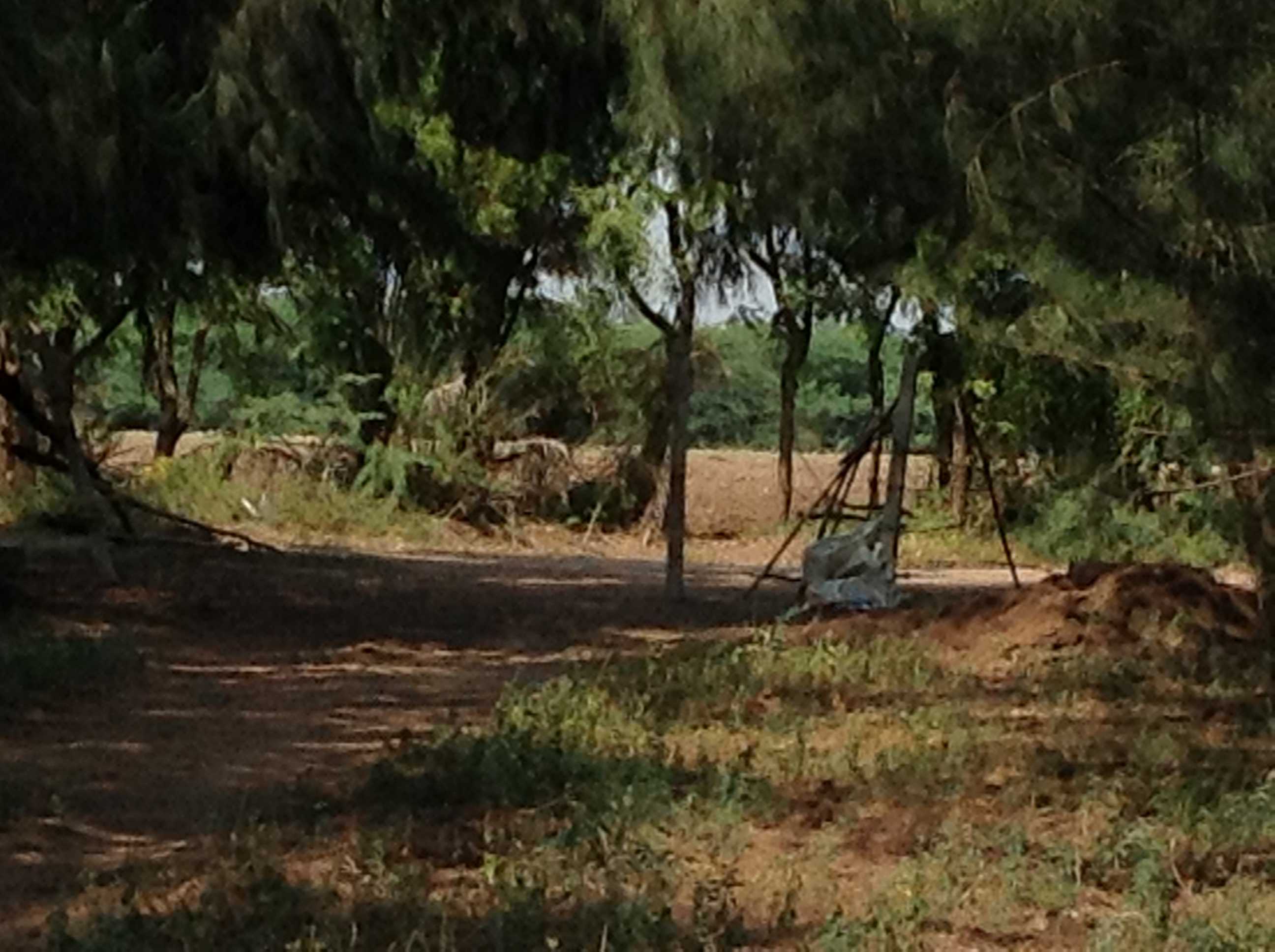 Farm