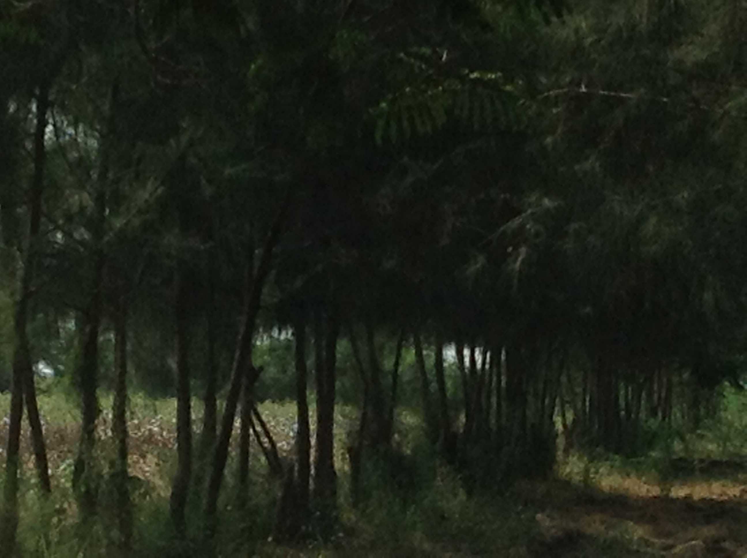 Farm