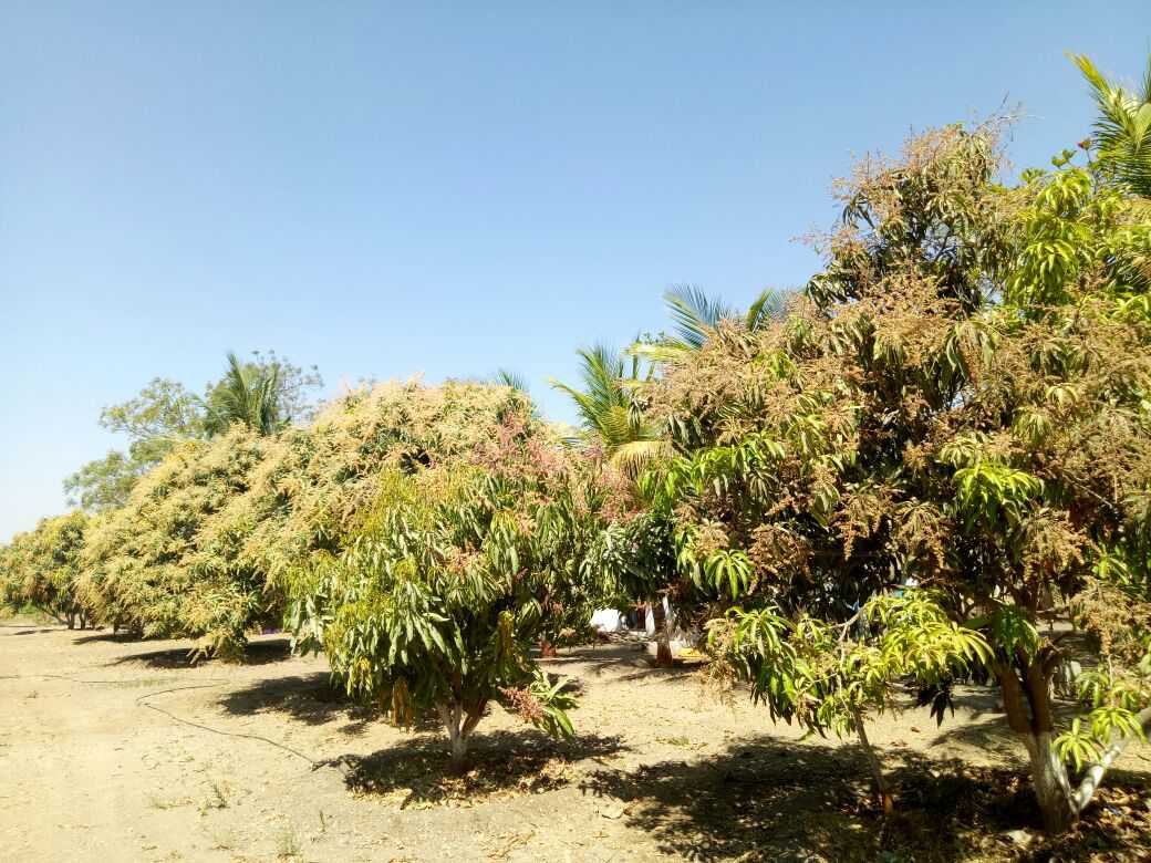 Farm