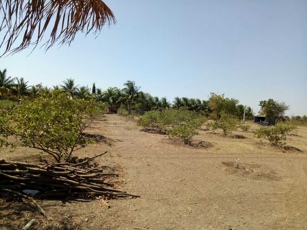 Farm
