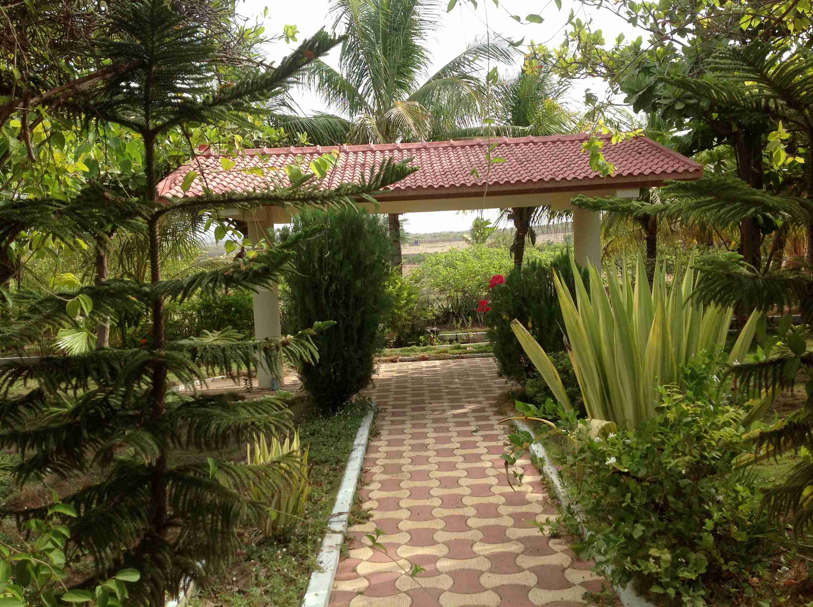 Farm