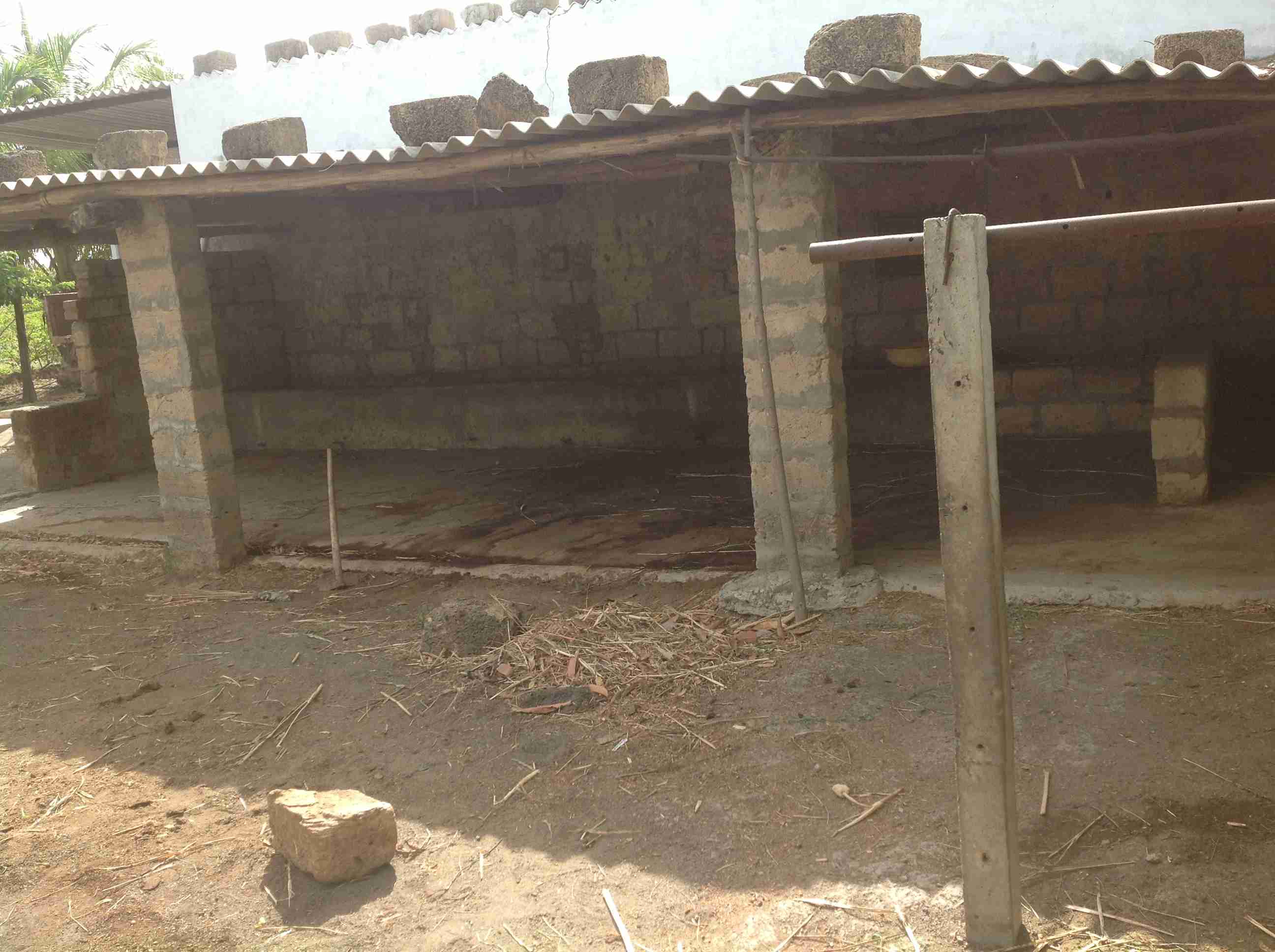 Farm