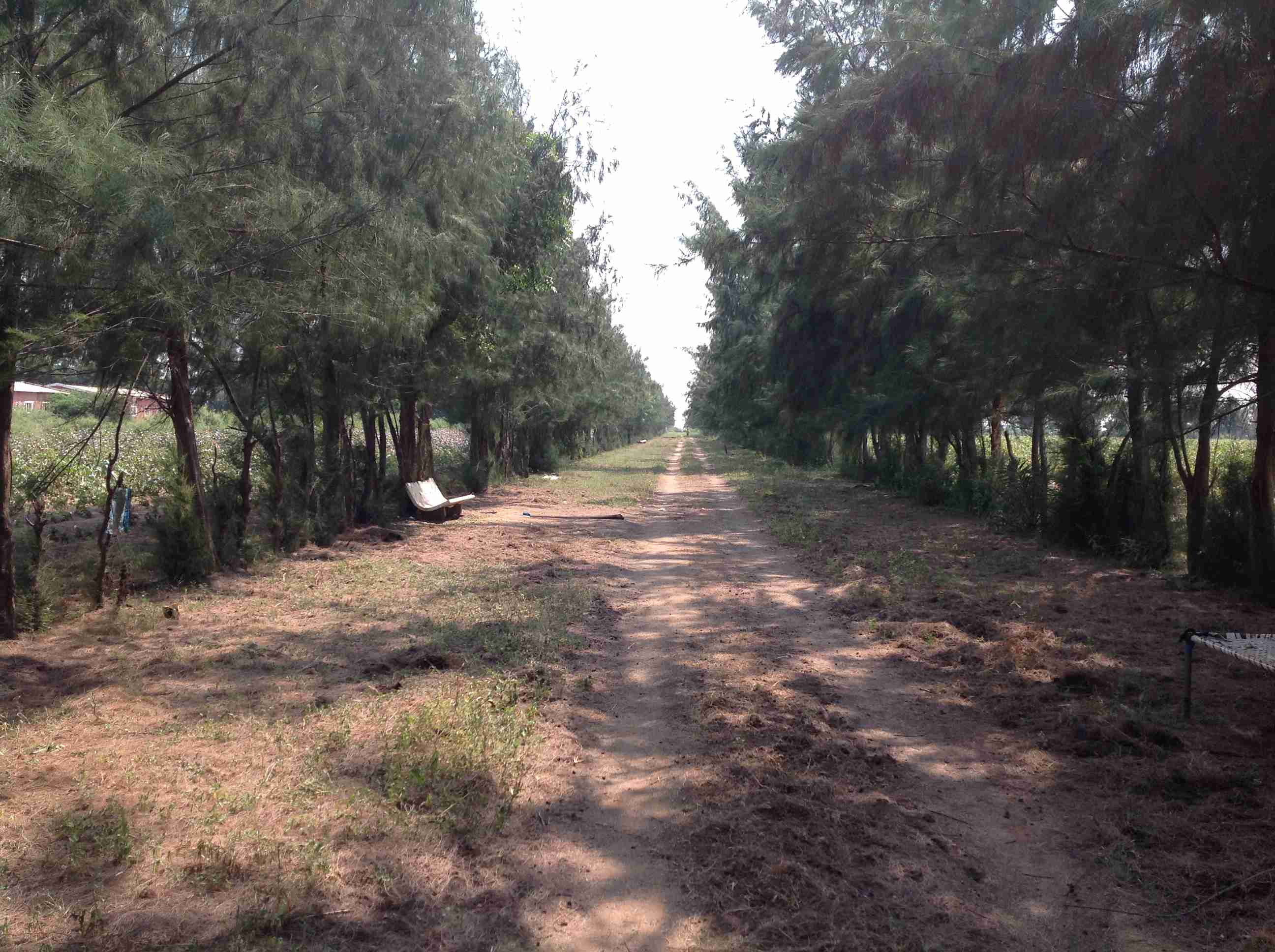 Farm