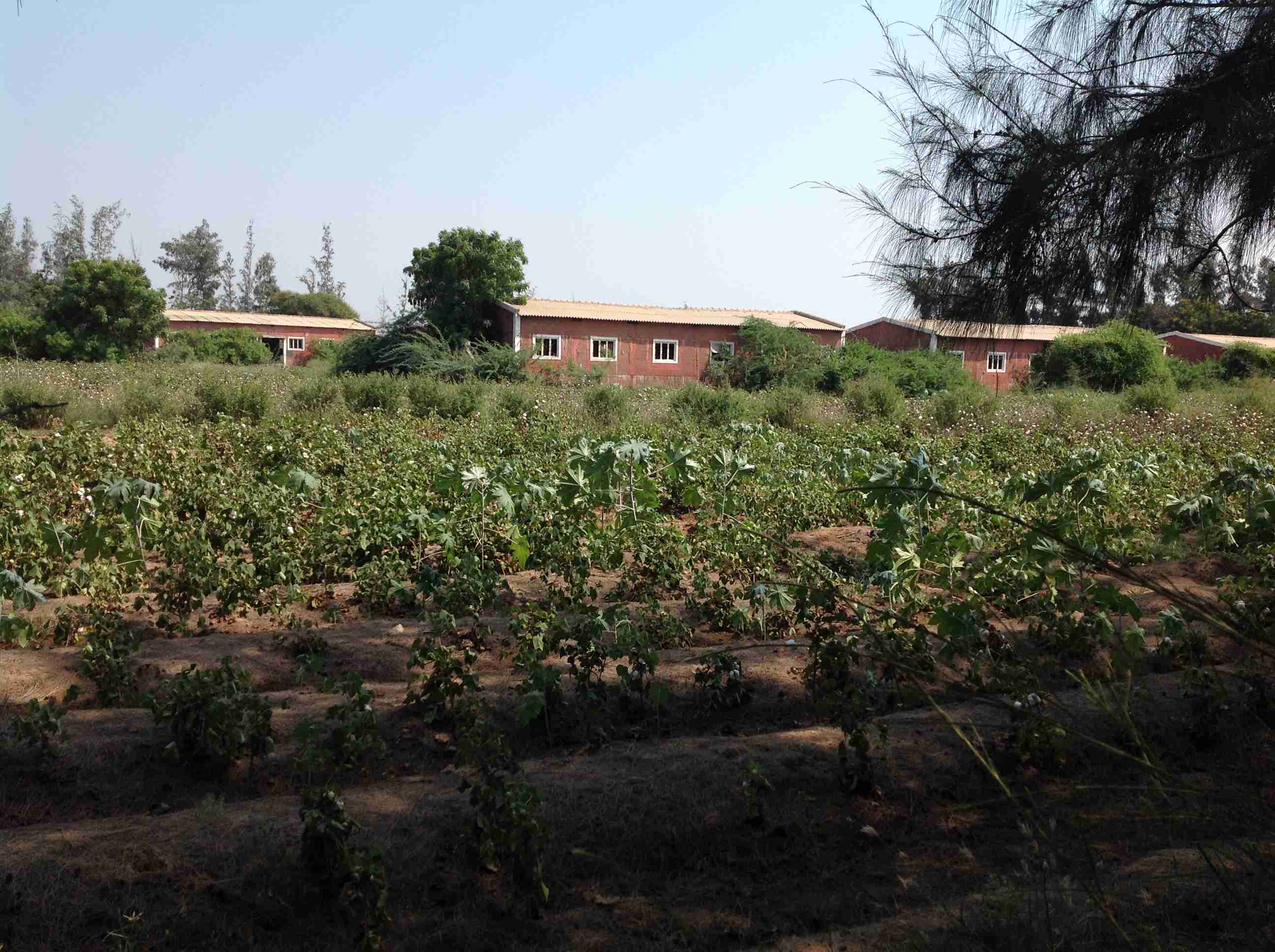 Farm